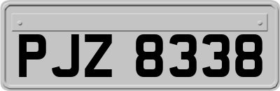 PJZ8338