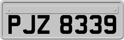 PJZ8339