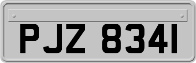PJZ8341
