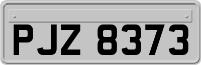 PJZ8373