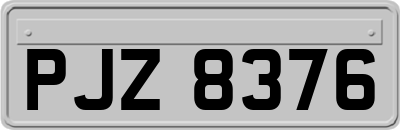 PJZ8376