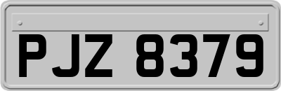 PJZ8379