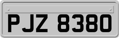 PJZ8380