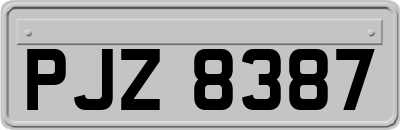 PJZ8387