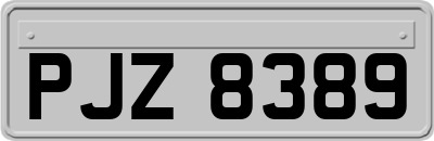PJZ8389