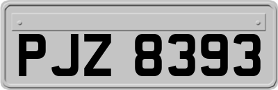 PJZ8393