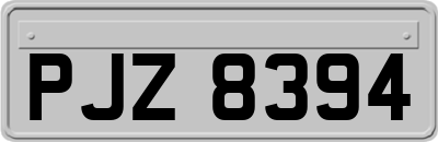 PJZ8394