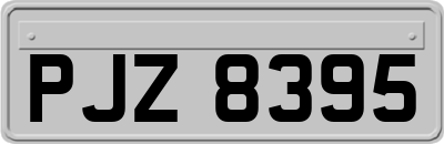 PJZ8395