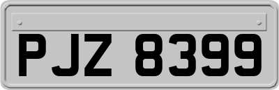 PJZ8399
