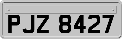 PJZ8427
