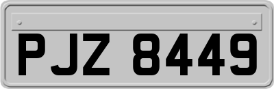 PJZ8449