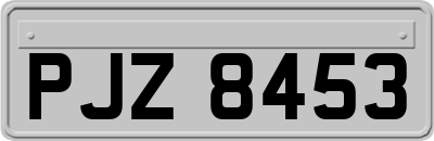 PJZ8453