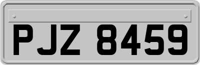 PJZ8459
