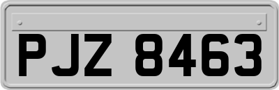 PJZ8463