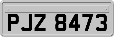 PJZ8473