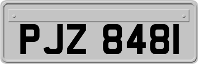 PJZ8481