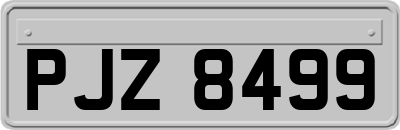 PJZ8499