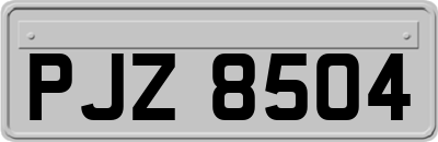 PJZ8504