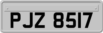 PJZ8517