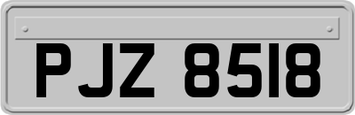 PJZ8518