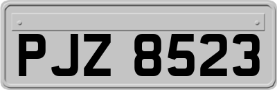 PJZ8523
