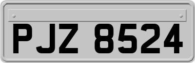 PJZ8524