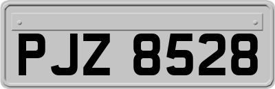 PJZ8528
