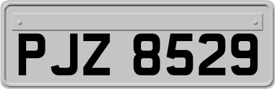 PJZ8529