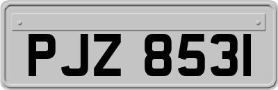 PJZ8531