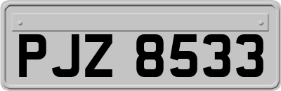 PJZ8533