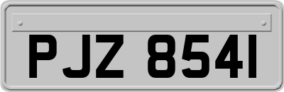PJZ8541