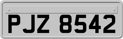 PJZ8542