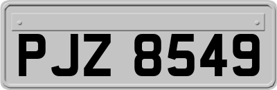 PJZ8549