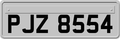 PJZ8554