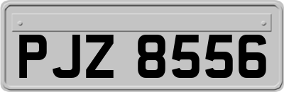 PJZ8556