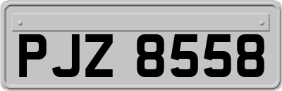 PJZ8558