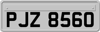 PJZ8560