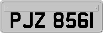 PJZ8561