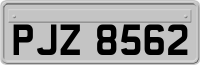 PJZ8562