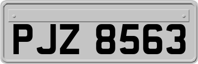 PJZ8563