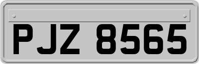 PJZ8565