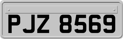 PJZ8569