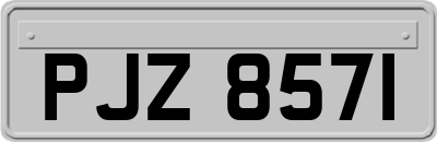 PJZ8571