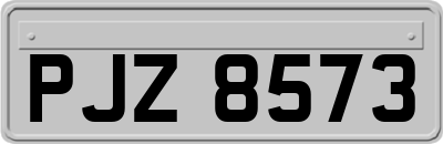 PJZ8573