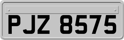 PJZ8575