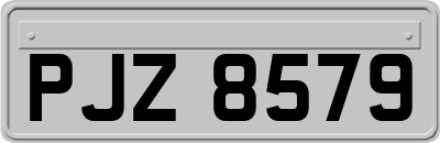 PJZ8579