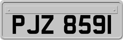 PJZ8591
