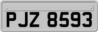 PJZ8593