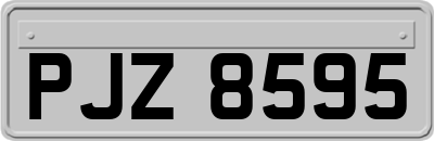 PJZ8595