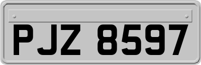 PJZ8597